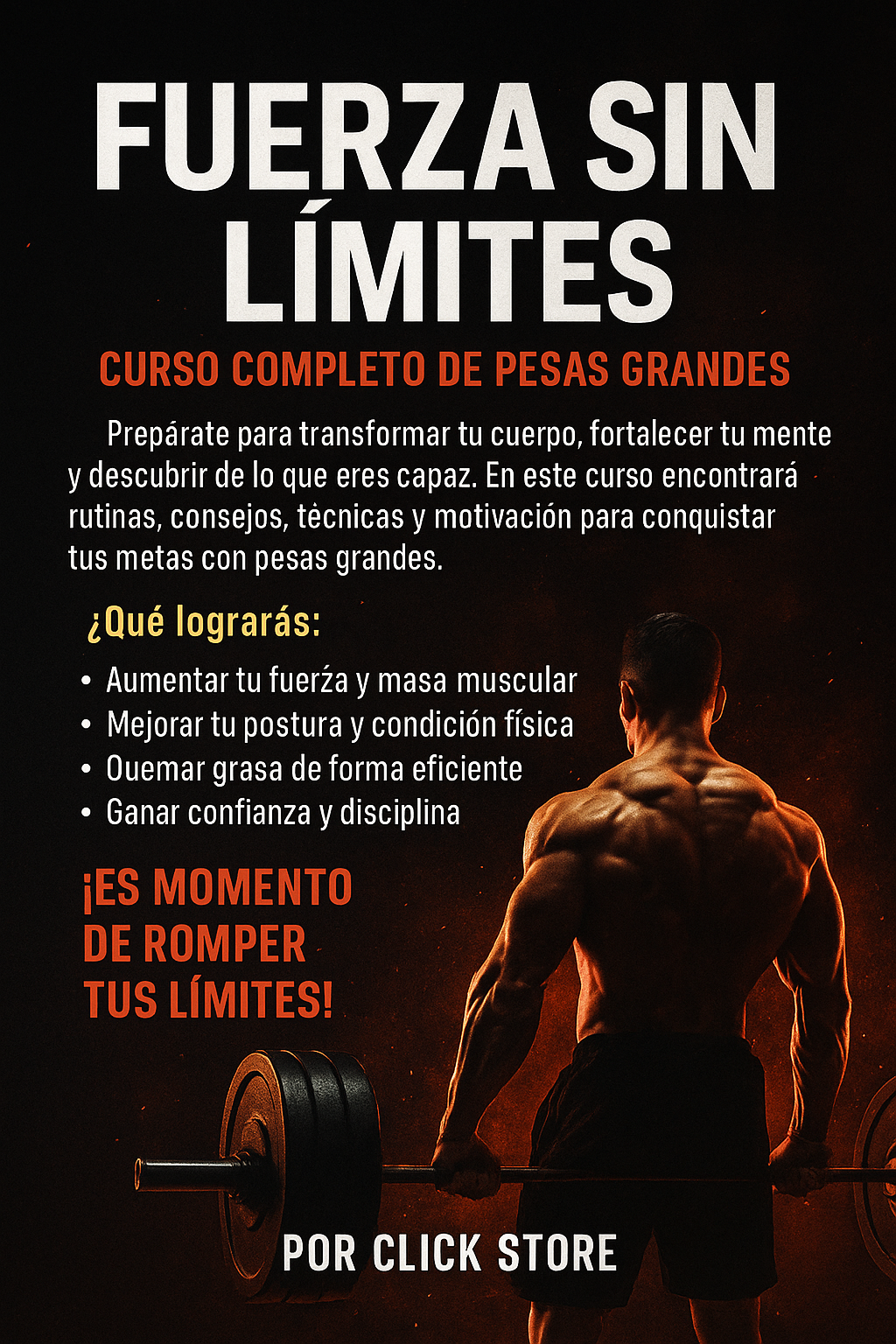 Kit de Pesas Grandes con Estuche - Imagen 3